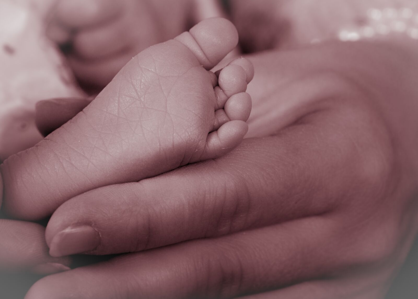Panasonic DMC-G81 sample photo. Baby, newborn, baby feet photography
