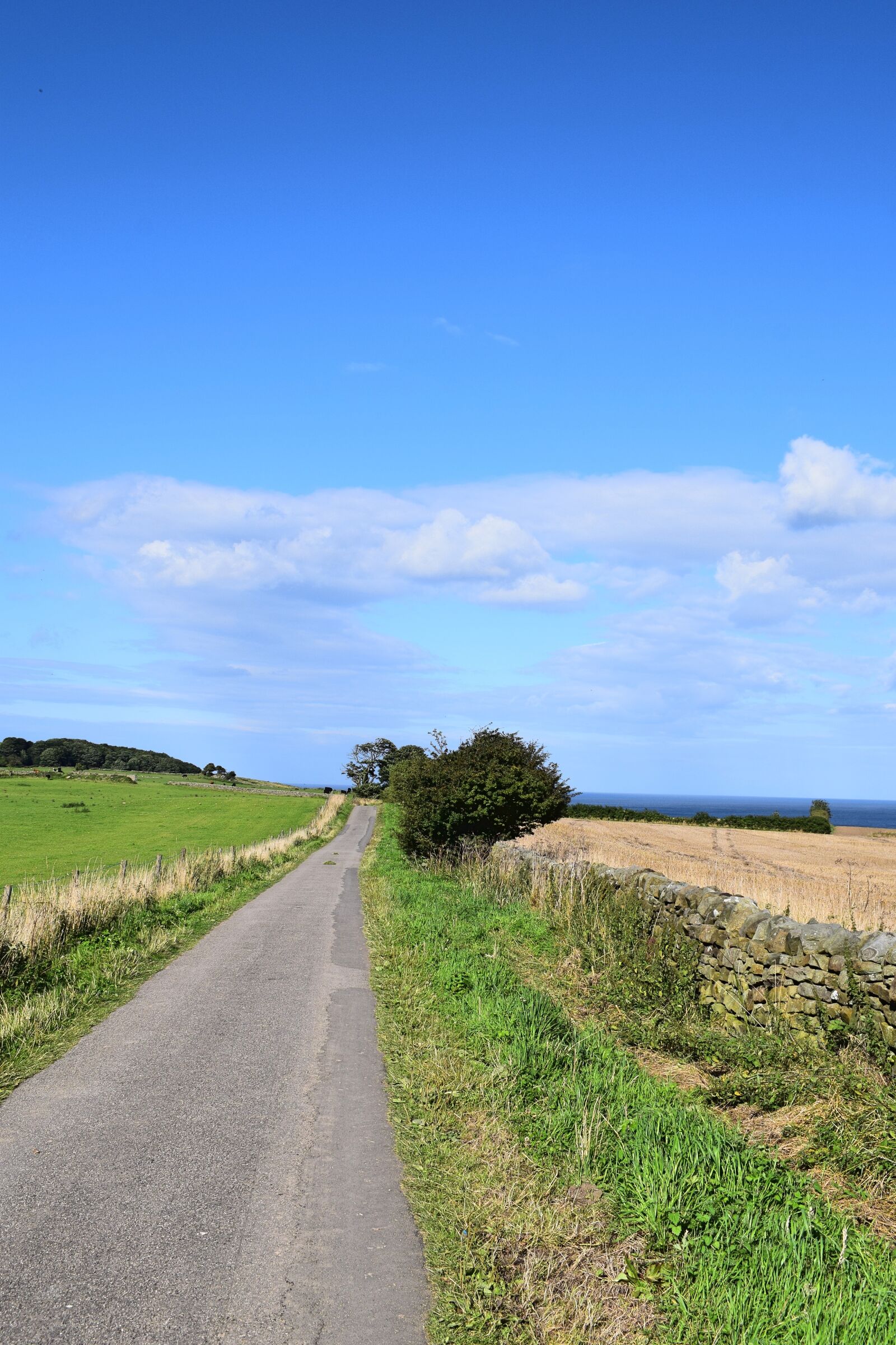 Nikon D3300 sample photo. Road, yorkshire, nature photography