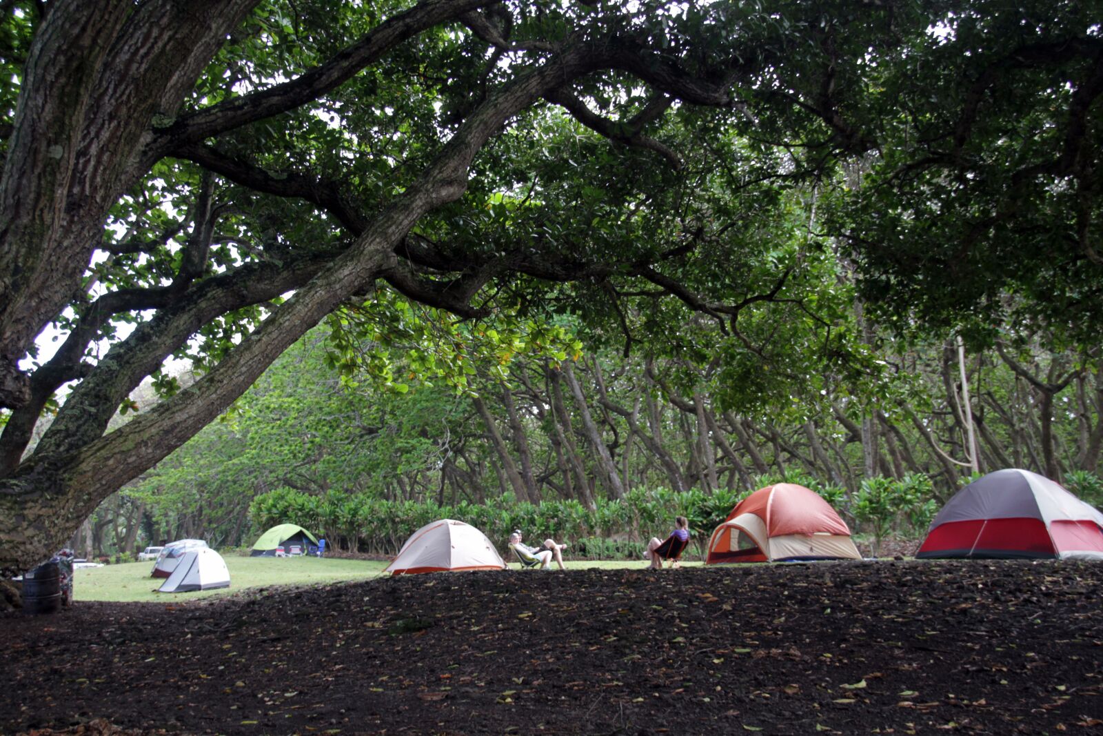 Canon EOS 7D sample photo. Camping, outdoor, tent photography