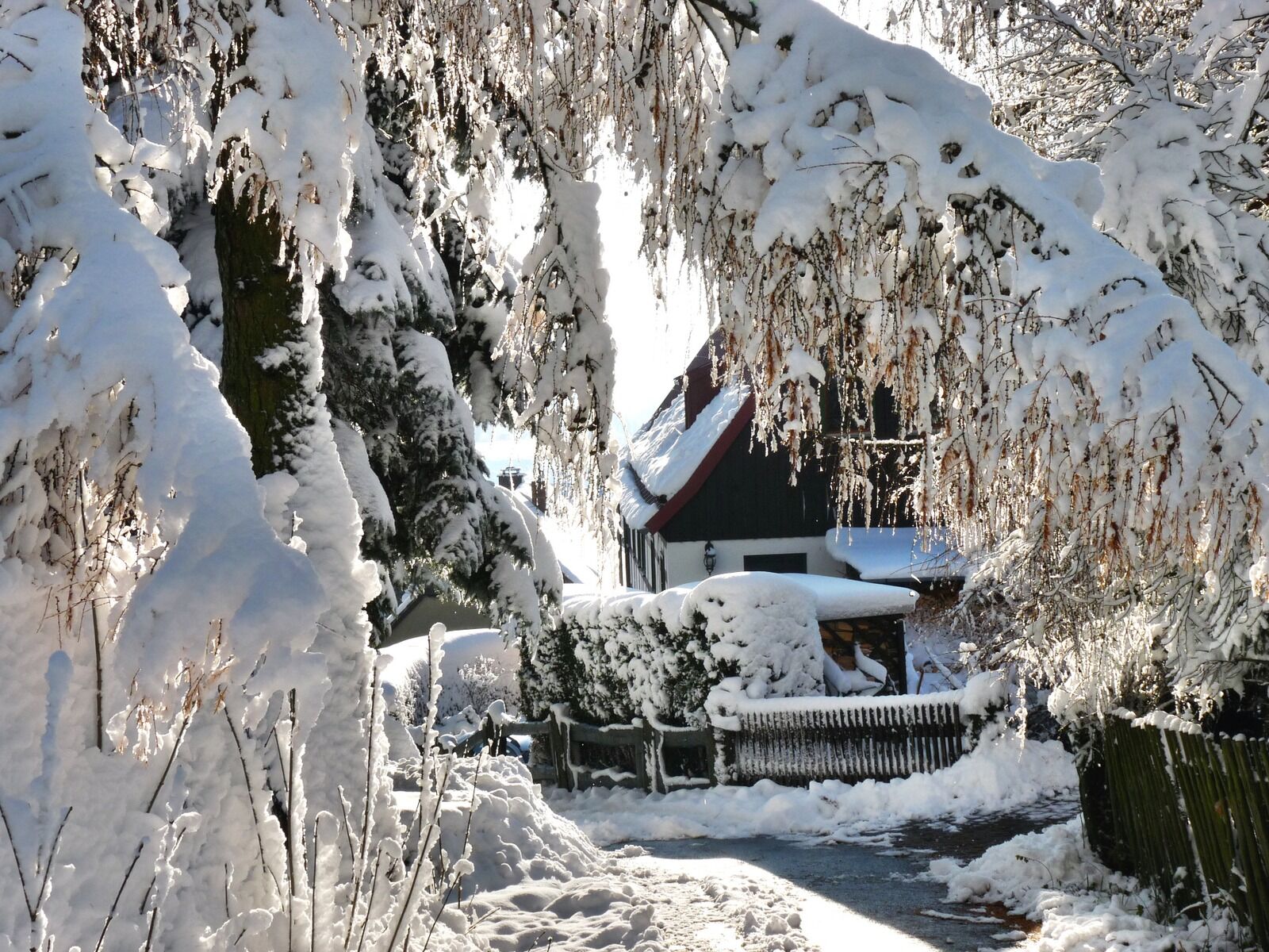 Panasonic Lumix DMC-FZ28 sample photo. Winter magic, romantic, snow photography