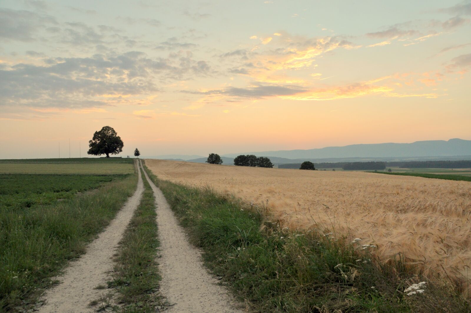 Nikon D5000 sample photo. Sunset, background, landscape photography