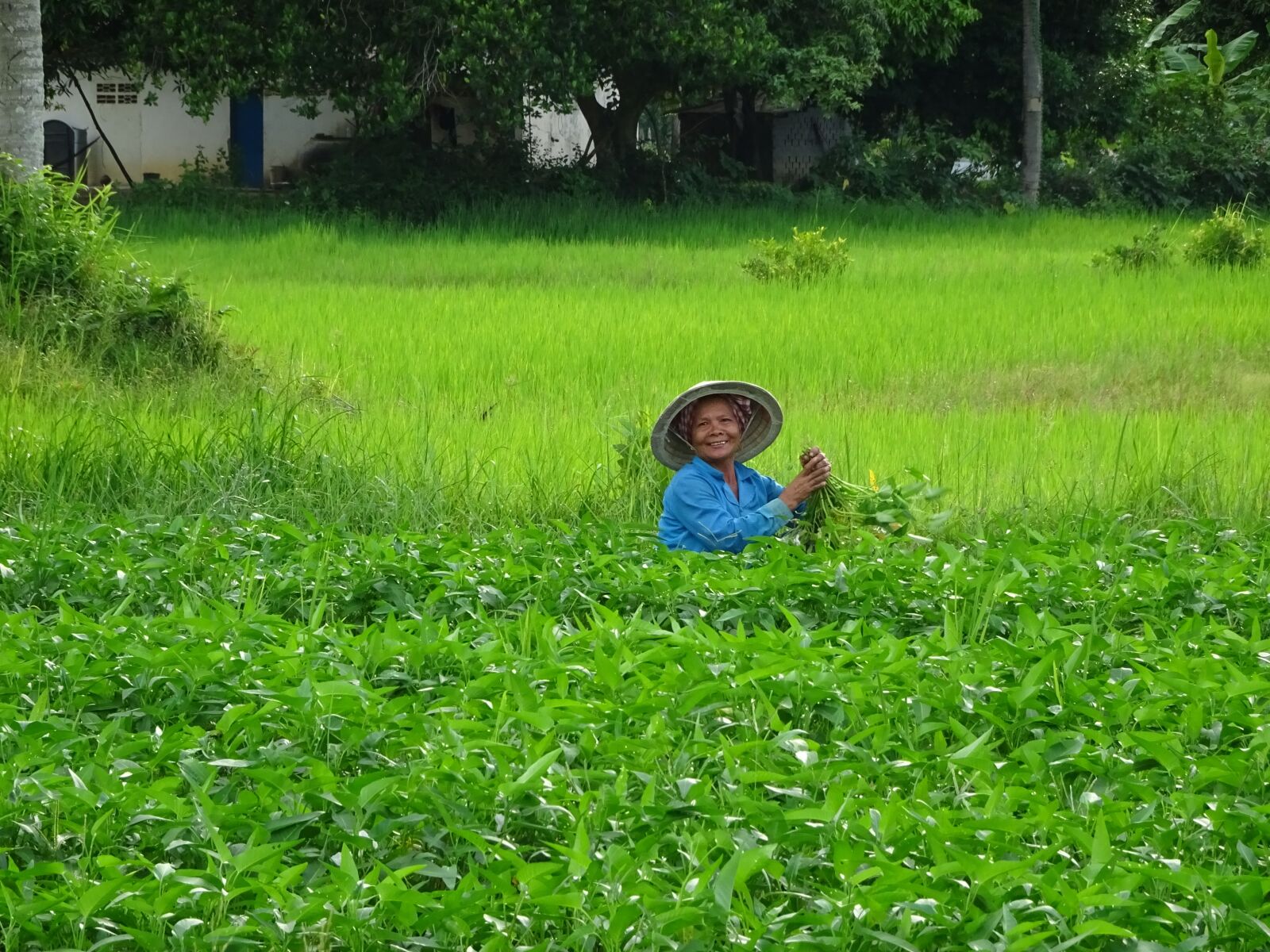 Sony Cyber-shot DSC-WX500 sample photo. Asia, cambodia, human photography