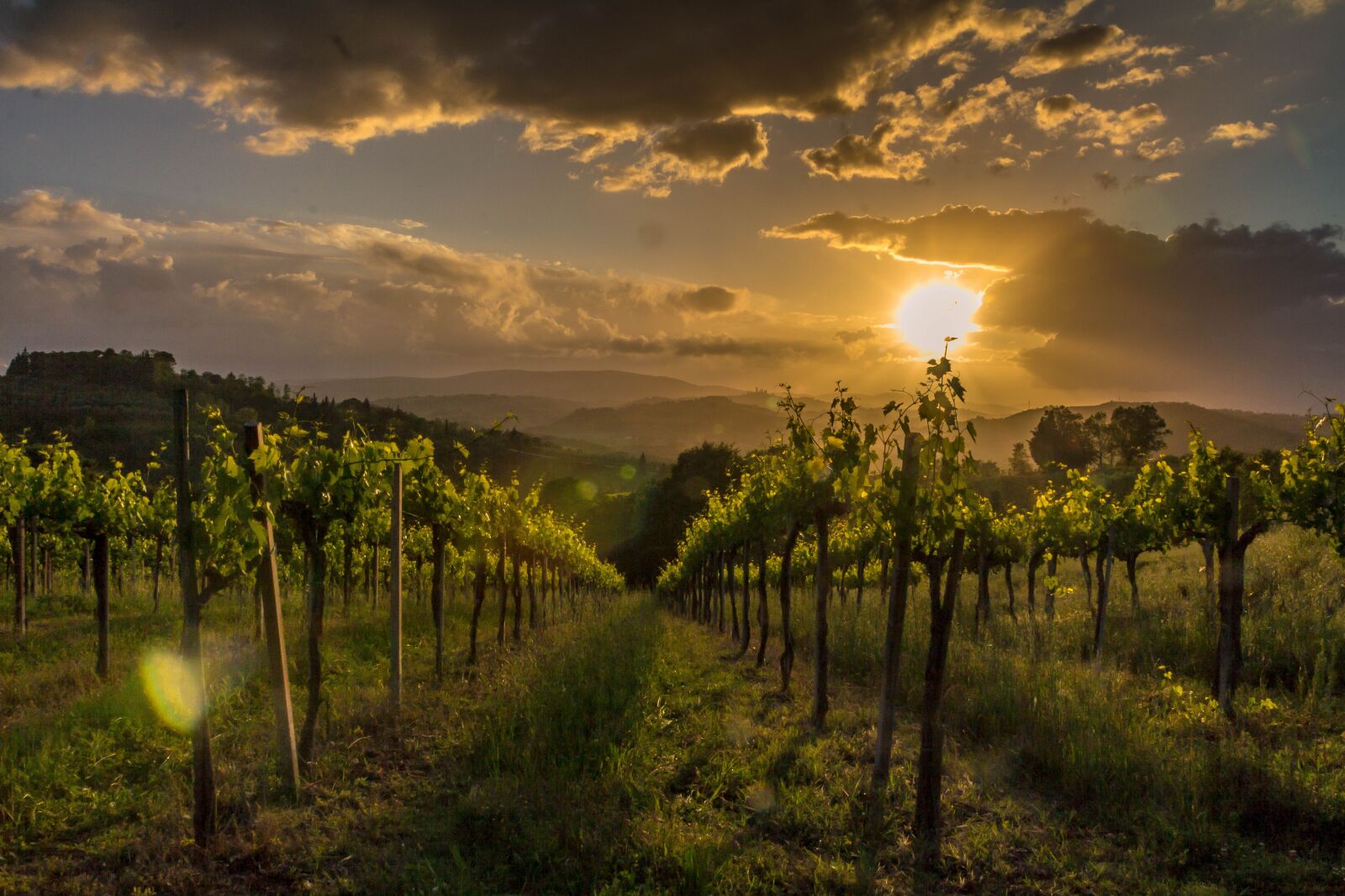 Canon EOS 60D sample photo. Tuscany, italy, landscape photography