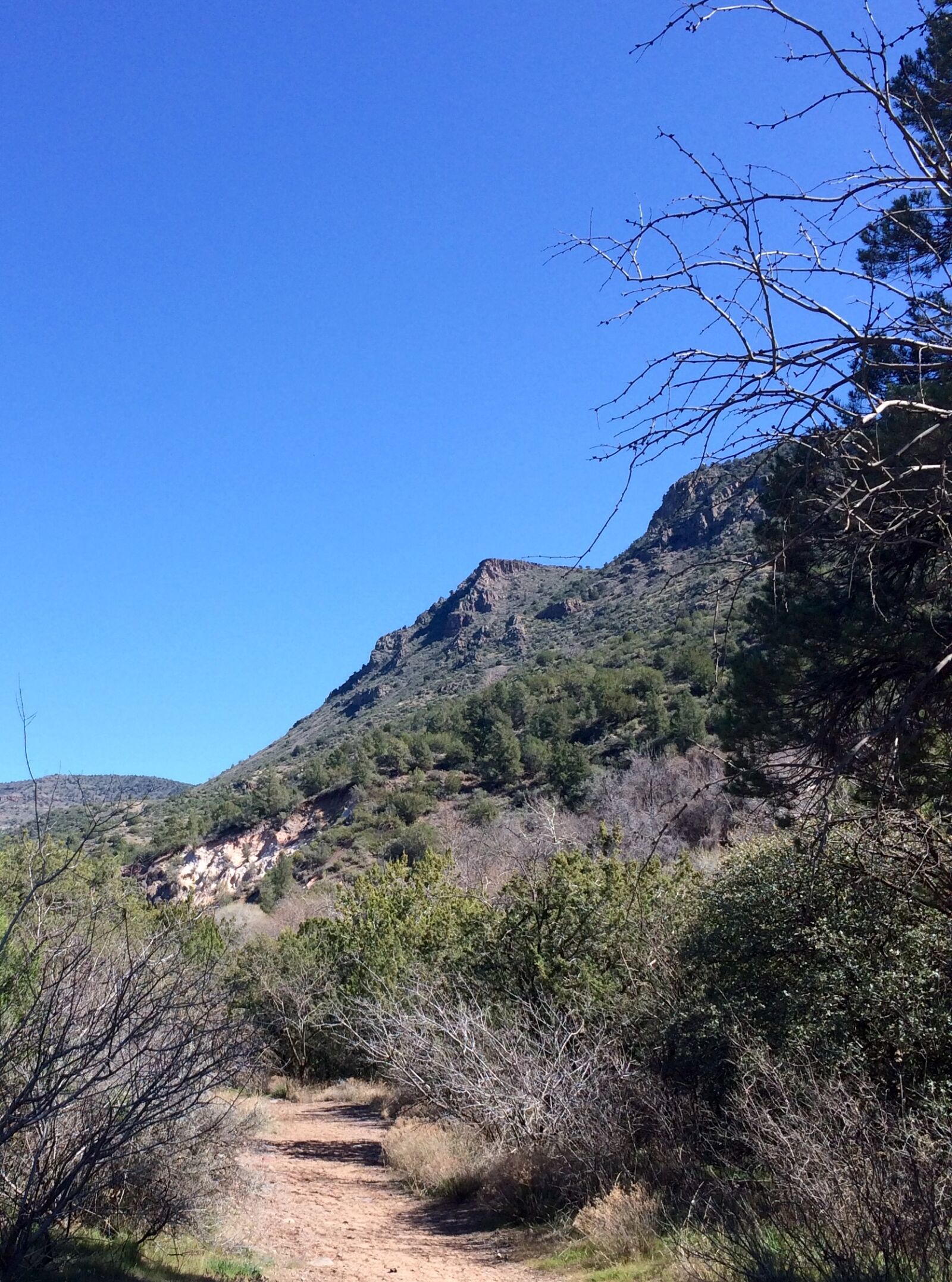 iPhone 5s back camera 4.15mm f/2.2 sample photo. Az, fossil, creek, united photography