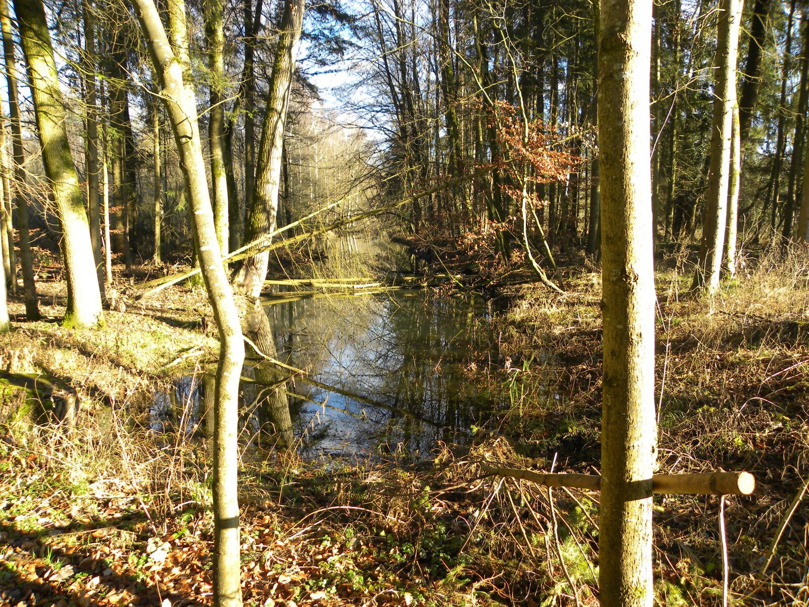 Nikon Coolpix P90 sample photo. Rottenacker, trail, autumn mood photography