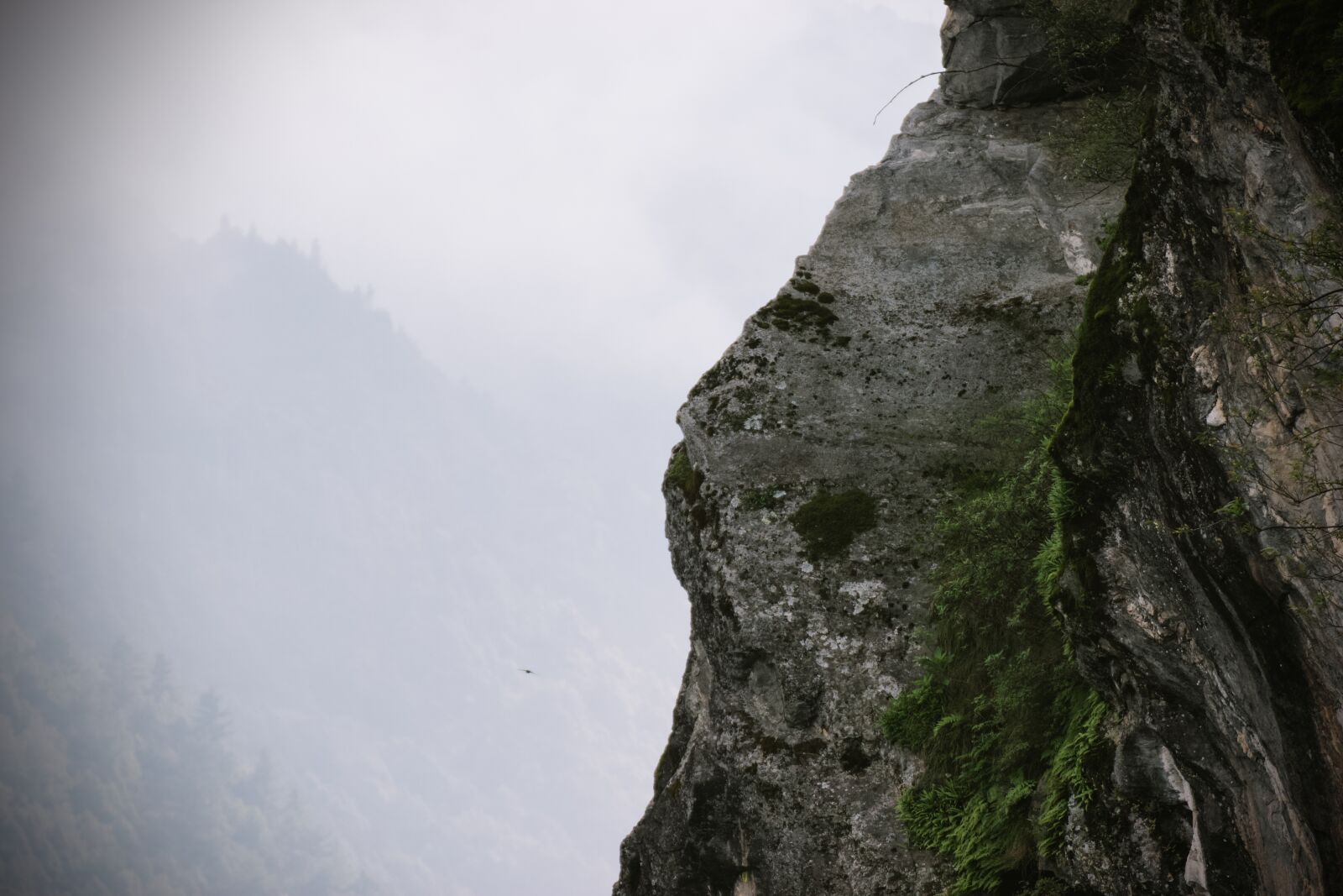 Canon EOS 550D (EOS Rebel T2i / EOS Kiss X4) sample photo. China, mountain, fog photography