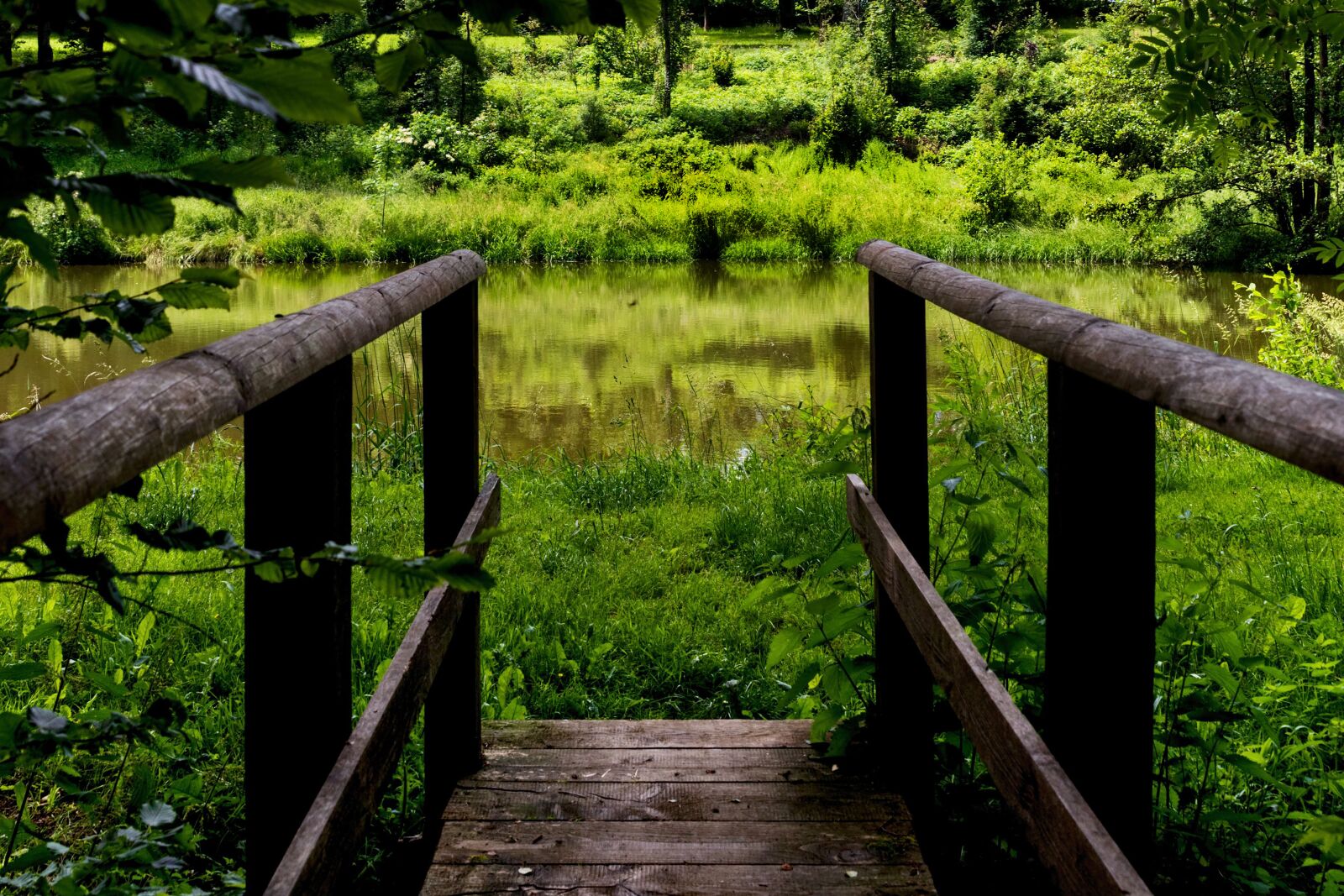 Nikon D750 sample photo. Lake, nature, landscape photography