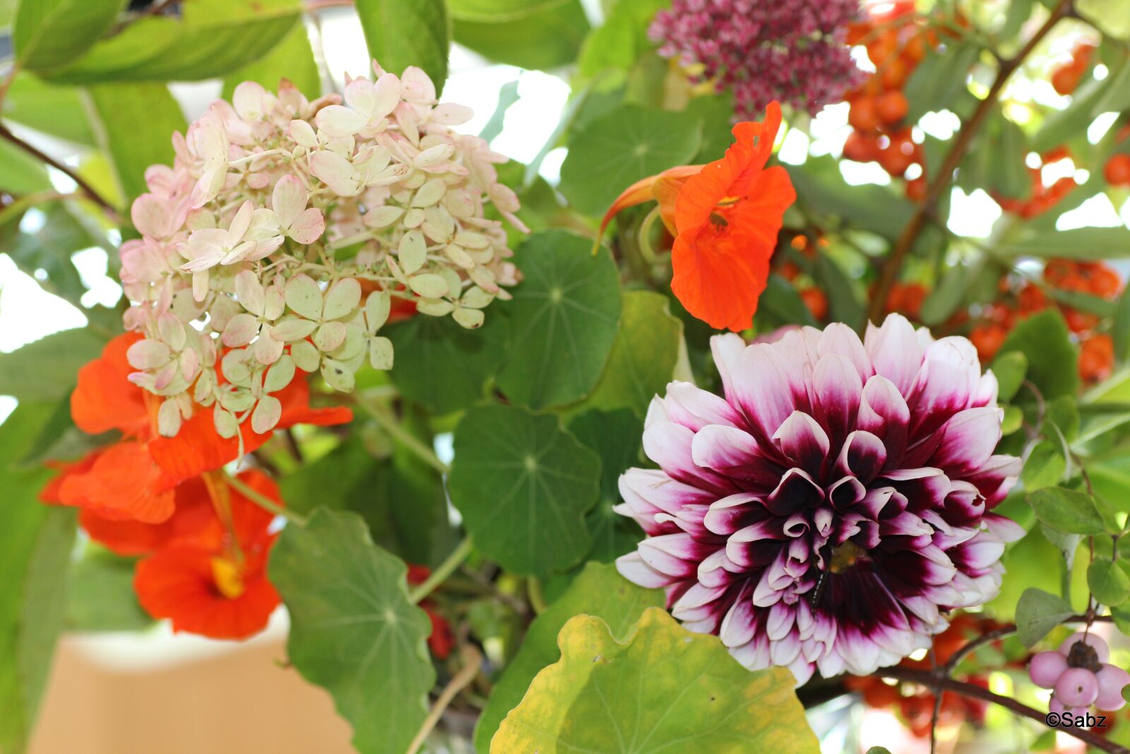 Canon EOS 600D (Rebel EOS T3i / EOS Kiss X5) sample photo. Flowers, bouquet, fall photography