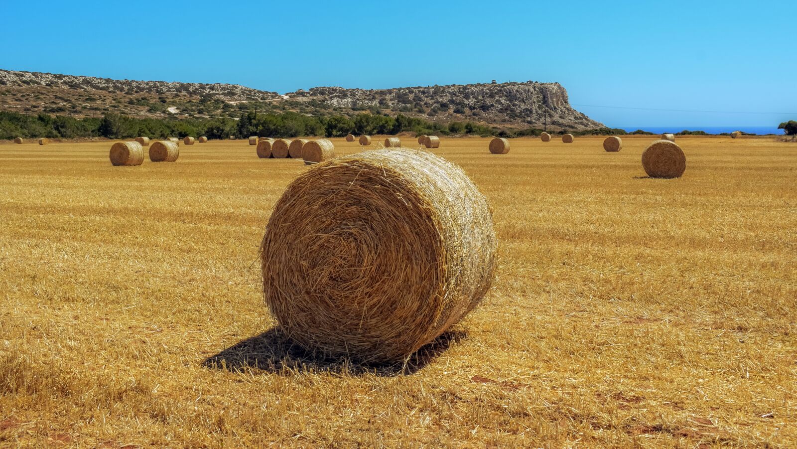 Nikon D3300 sample photo. Hay, straw, bale photography