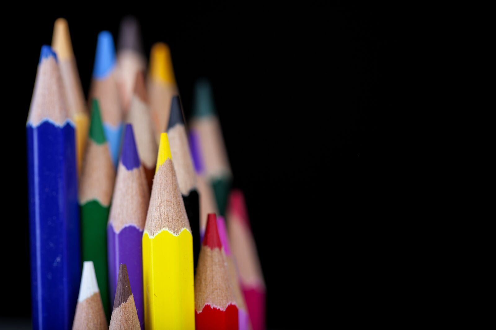 Canon EOS 5D Mark II sample photo. Pen, color, macro photography
