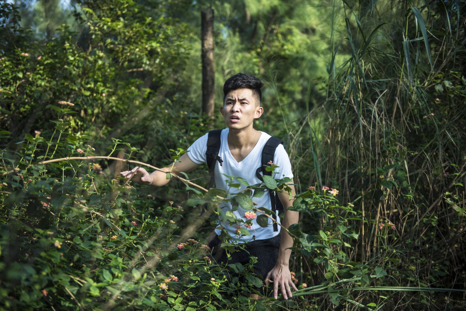 Nikon D810 sample photo. The wild, forest, get photography