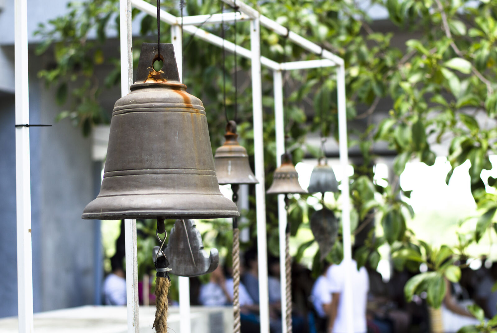 Nikon D3200 + Nikon AF-S Nikkor 50mm F1.8G sample photo. Bell, brown, green, hanging photography