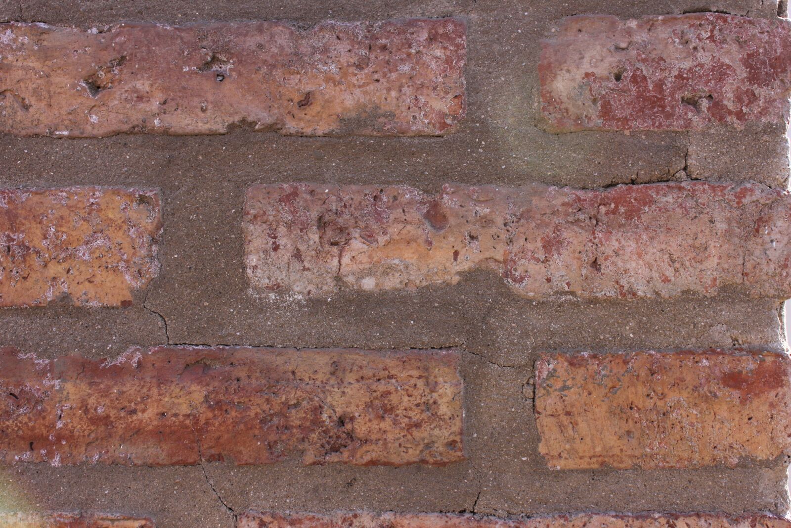 Canon EOS 500D (EOS Rebel T1i / EOS Kiss X3) sample photo. Bricks, wall, stone photography