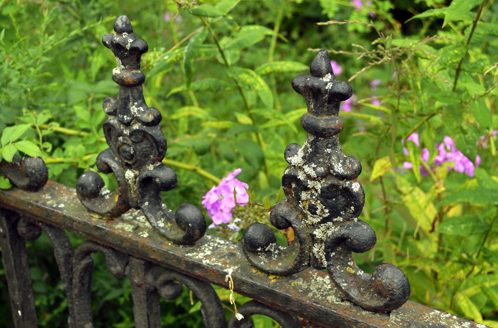 Nikon D3200 sample photo. Gate, iron, black photography
