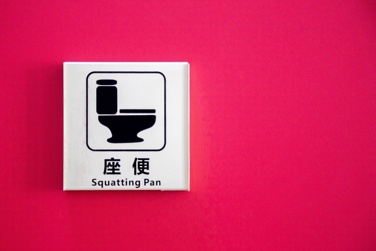 Canon EOS 6D + Canon EF 24-105mm F4L IS USM sample photo. Chinese, toilet, sign photography