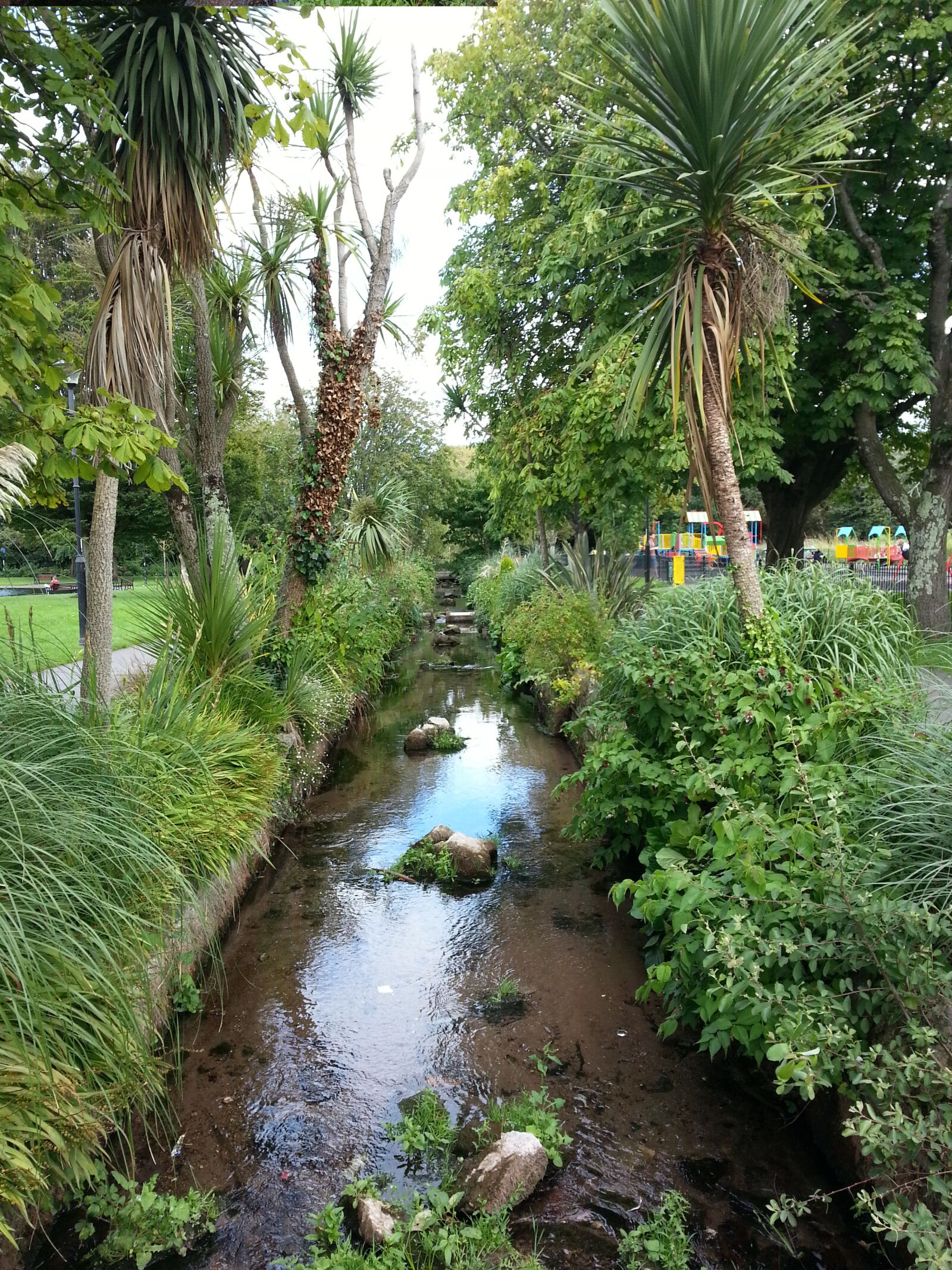 Samsung Galaxy S3 sample photo. Garden, palm, plants, rocks photography