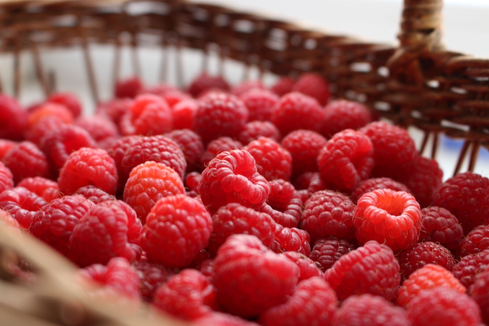 Canon EOS 700D (EOS Rebel T5i / EOS Kiss X7i) sample photo. Raspberry, berry, berries of photography