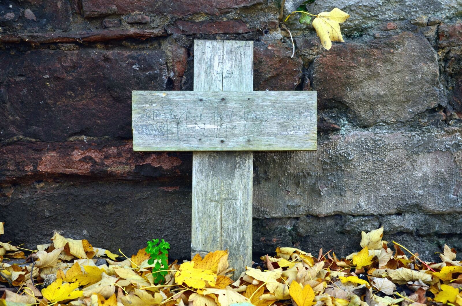 Nikon D5100 sample photo. Cross, wood, leaf, wall photography