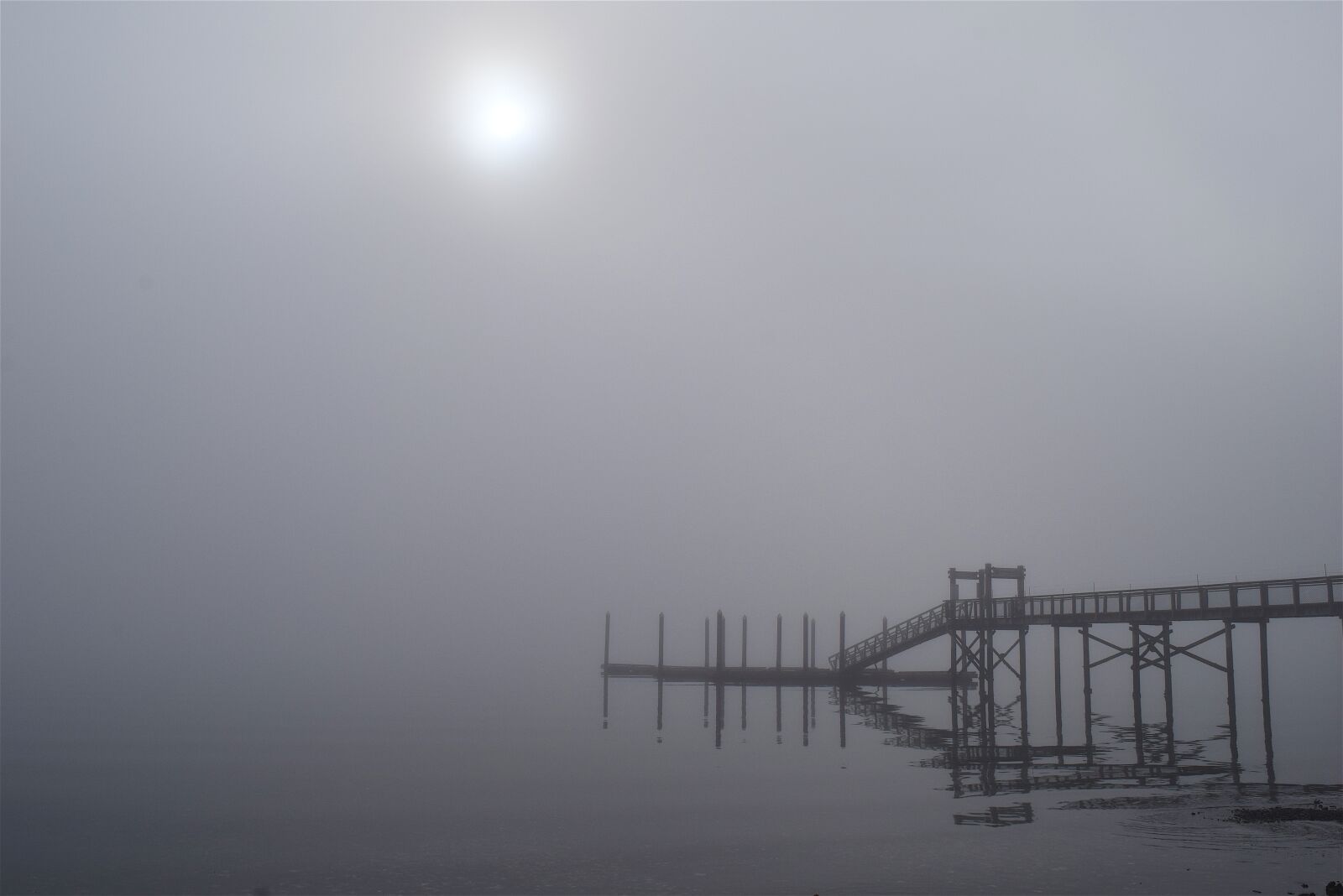Nikon D3300 sample photo. Fog, morning, bridge photography