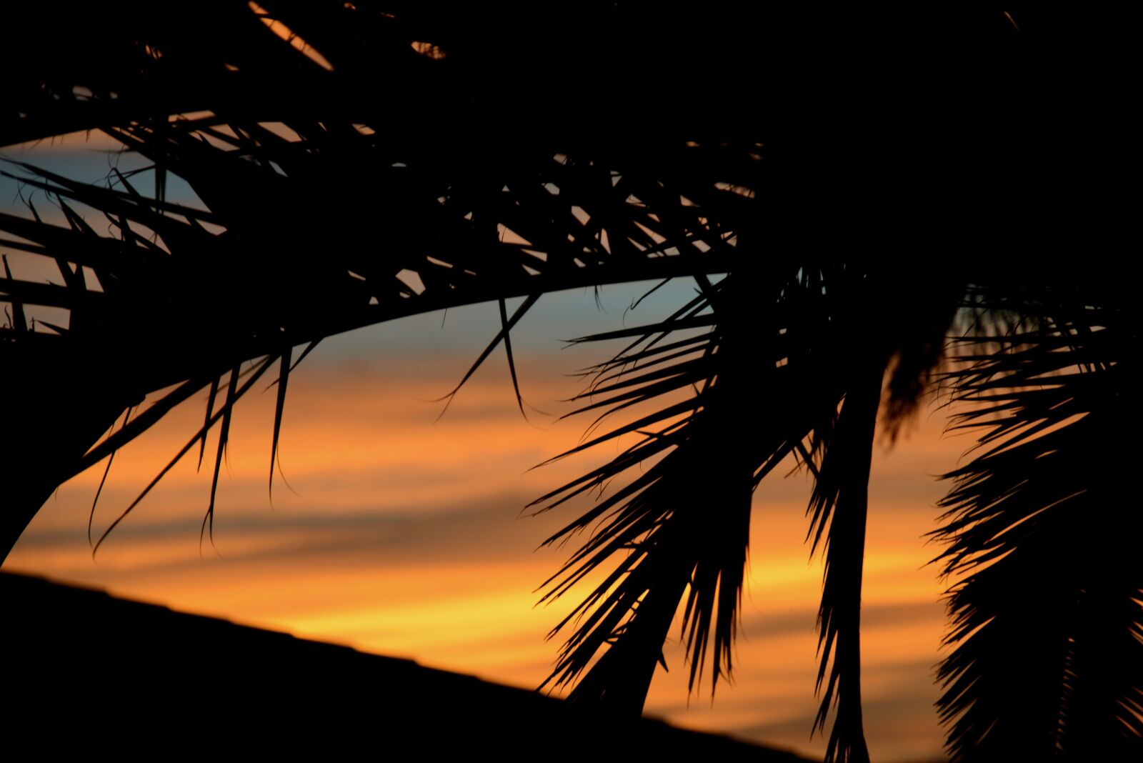 Nikon D600 sample photo. Atmosphere, evening sky, abendstimmung photography