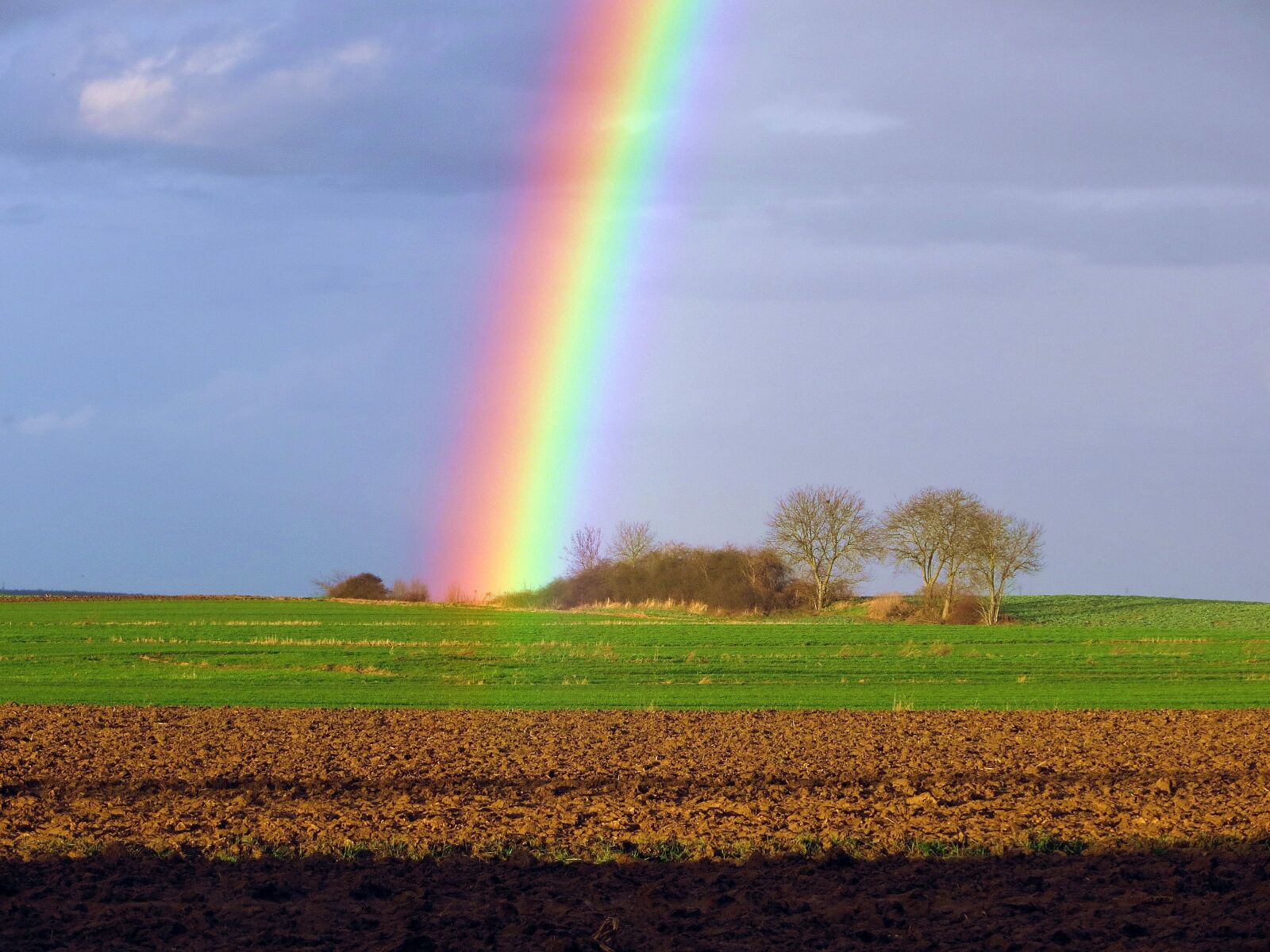 Canon PowerShot SX240 HS sample photo. Landscape, rainbow, early spring photography