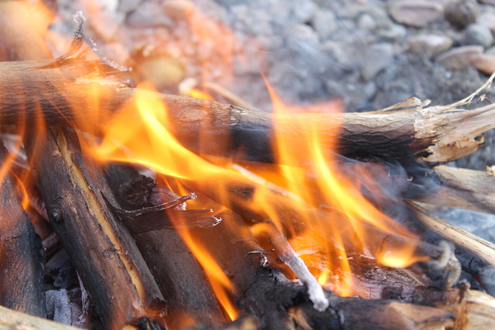 Canon EOS 1100D (EOS Rebel T3 / EOS Kiss X50) sample photo. Burn, burning, campfire, driftwood photography