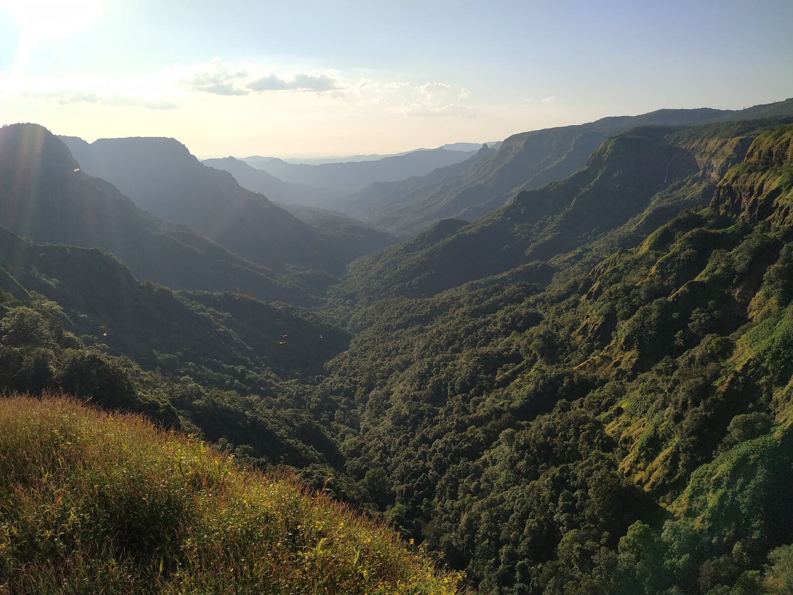 Xiaomi Redmi Note 6 Pro sample photo. Nature, valley, jungle photography