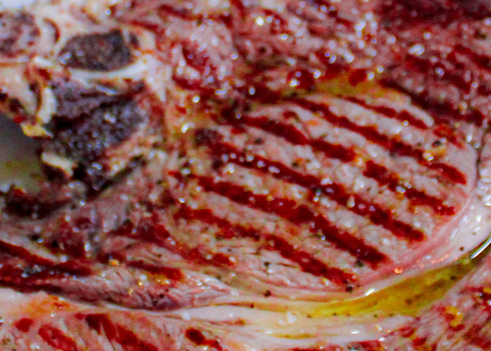Canon EOS 600D (Rebel EOS T3i / EOS Kiss X5) sample photo. Carne, grill, beef photography