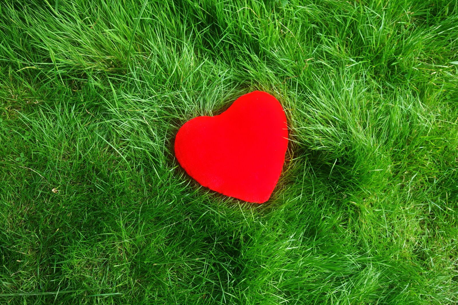Sony Cyber-shot DSC-RX100 sample photo. Heart, love, symbol photography