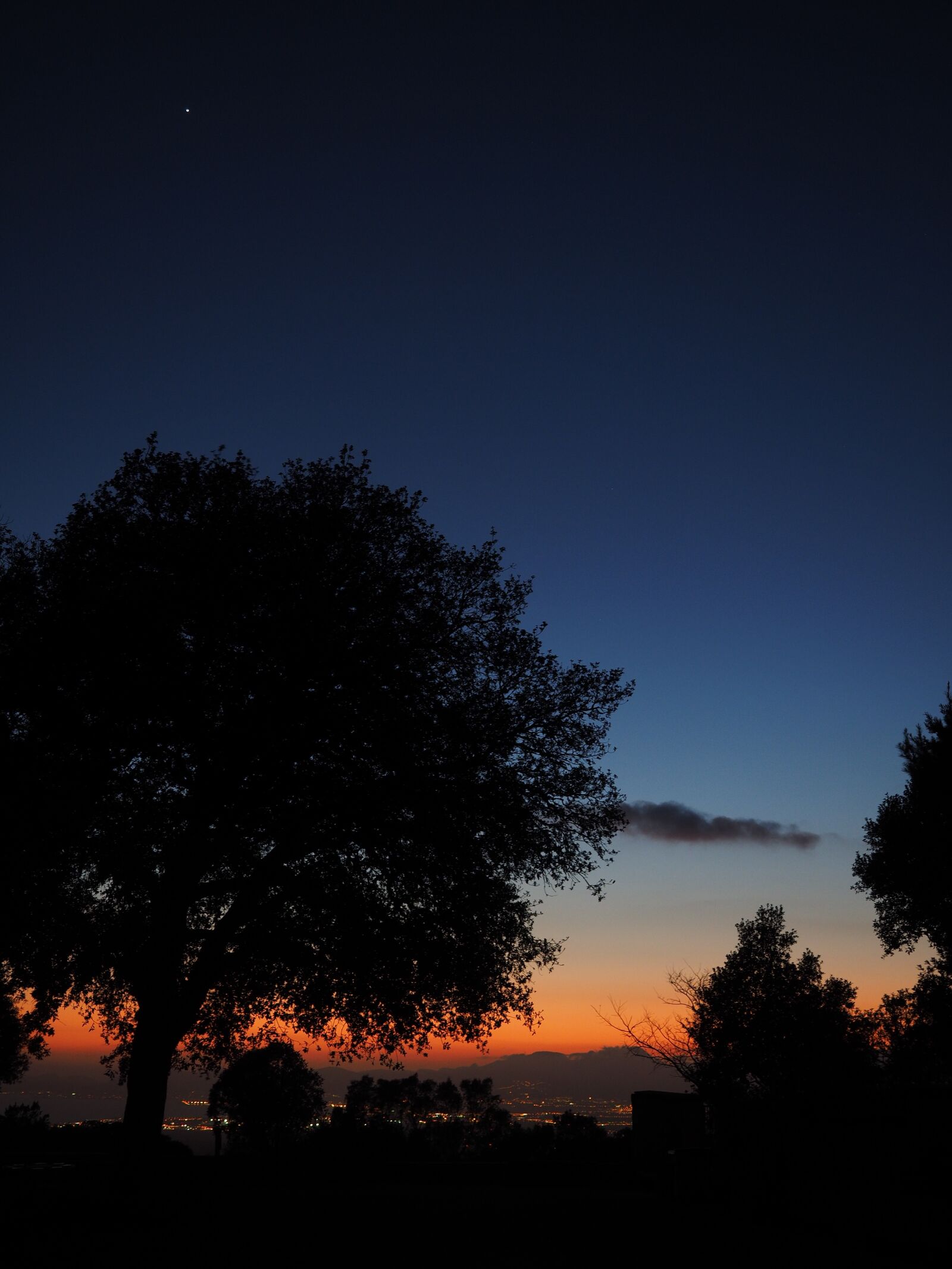 Olympus OM-D E-M1 + Olympus M.Zuiko Digital ED 12-40mm F2.8 Pro sample photo. Tree, sunset, at night photography