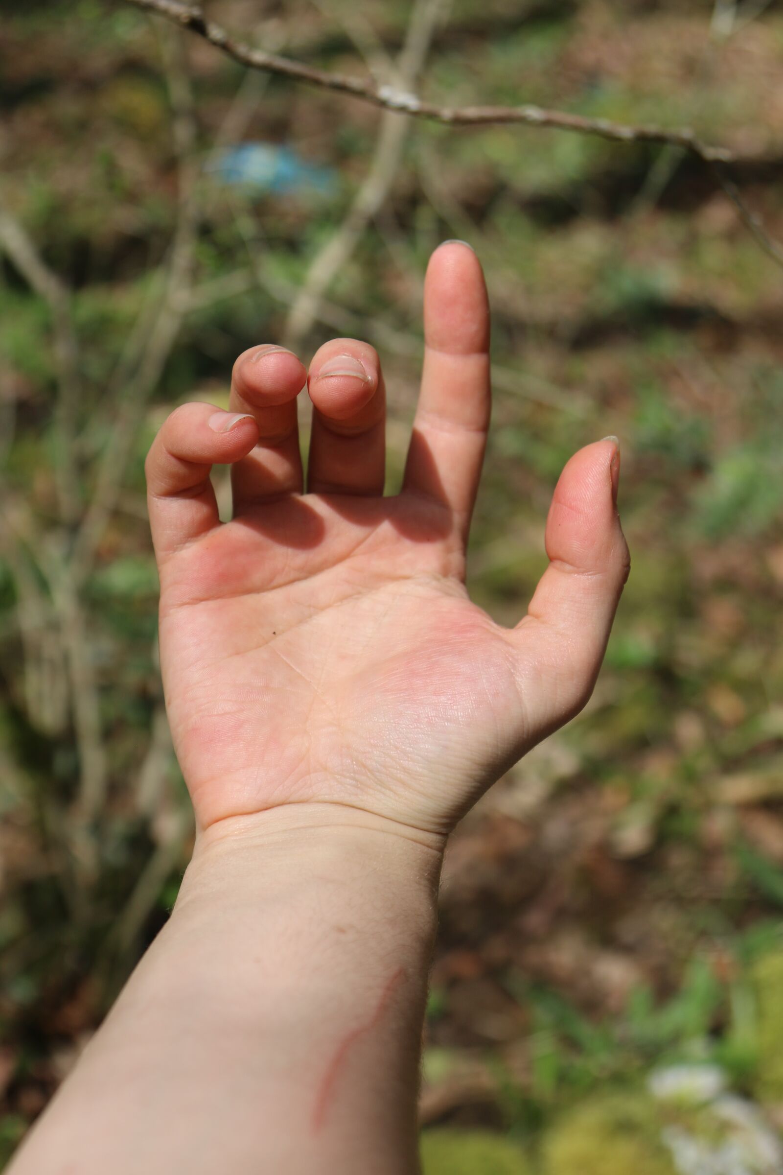 Canon EOS 70D + Canon EF 24-105mm F4L IS USM sample photo. Arm, hands, fingers photography