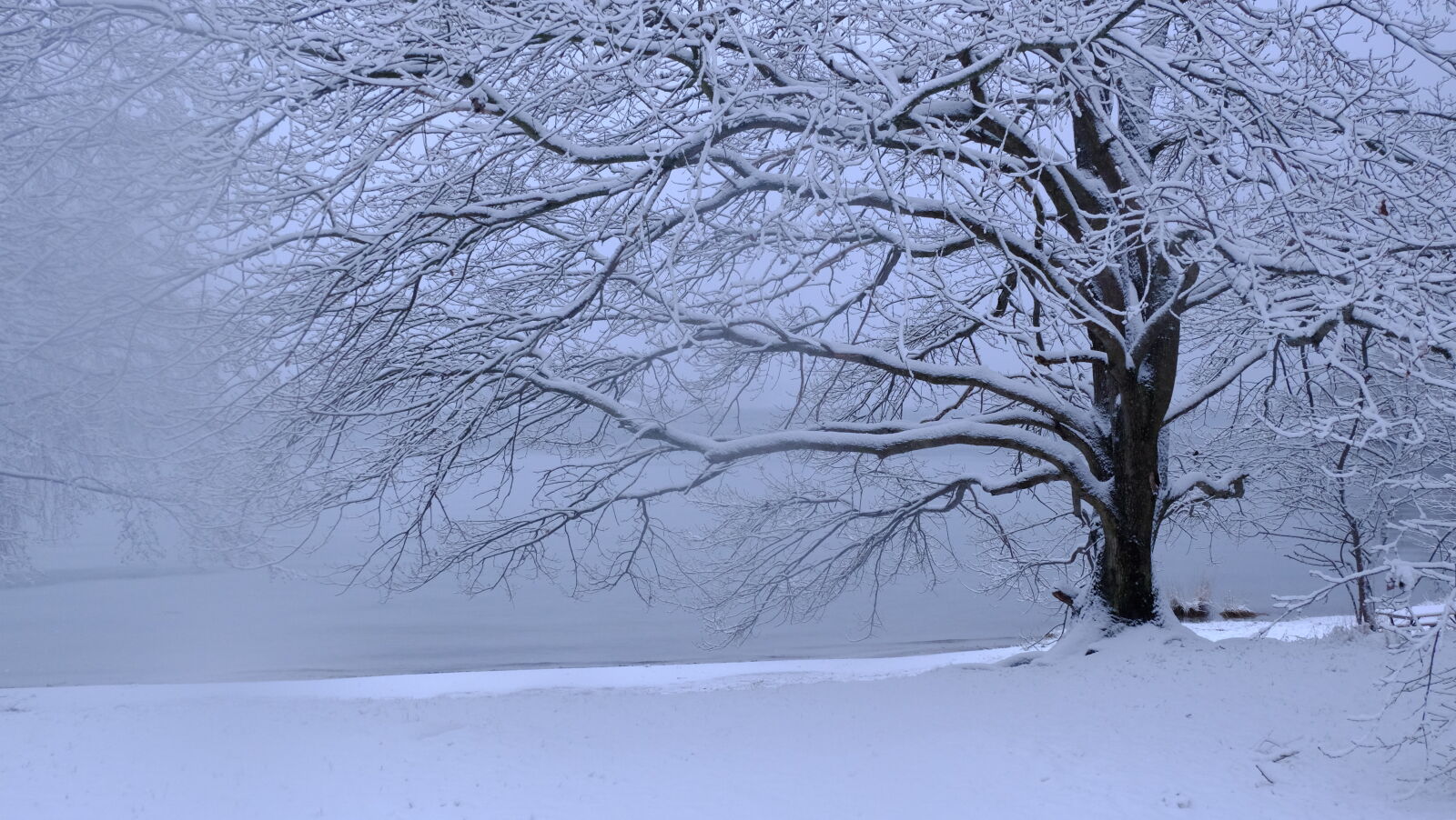 Fujifilm X-M1 sample photo. Blue, snow, tree, water photography