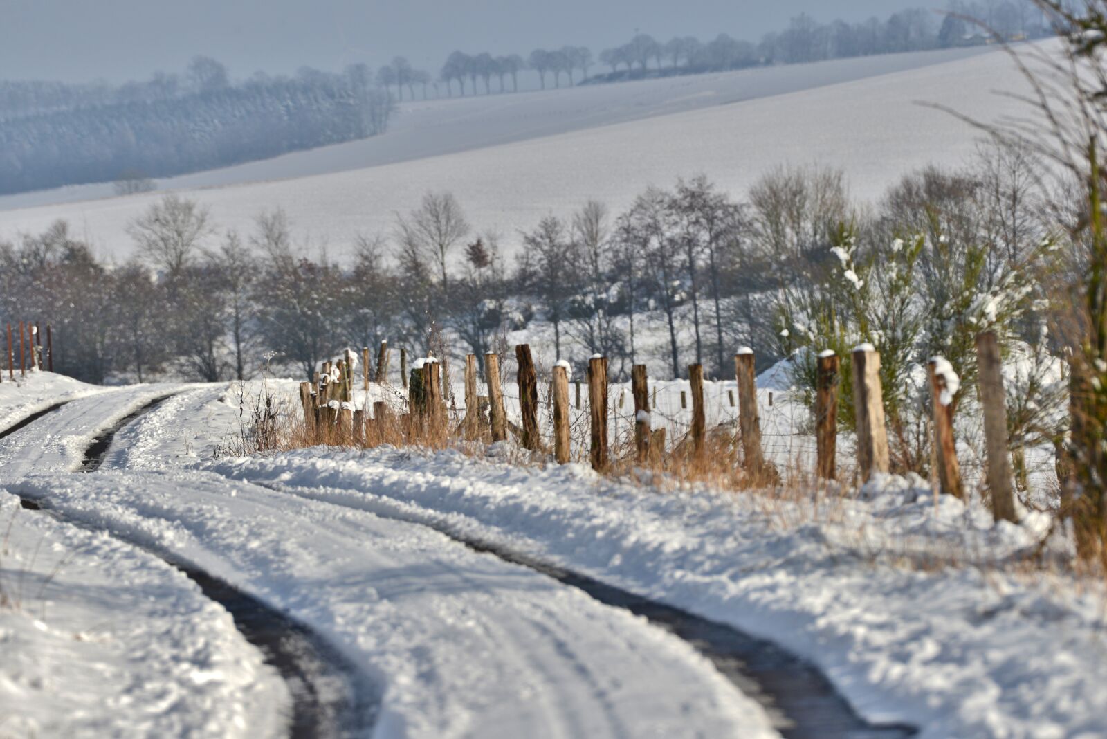 Nikon D600 sample photo. Snow, landscape, cold photography