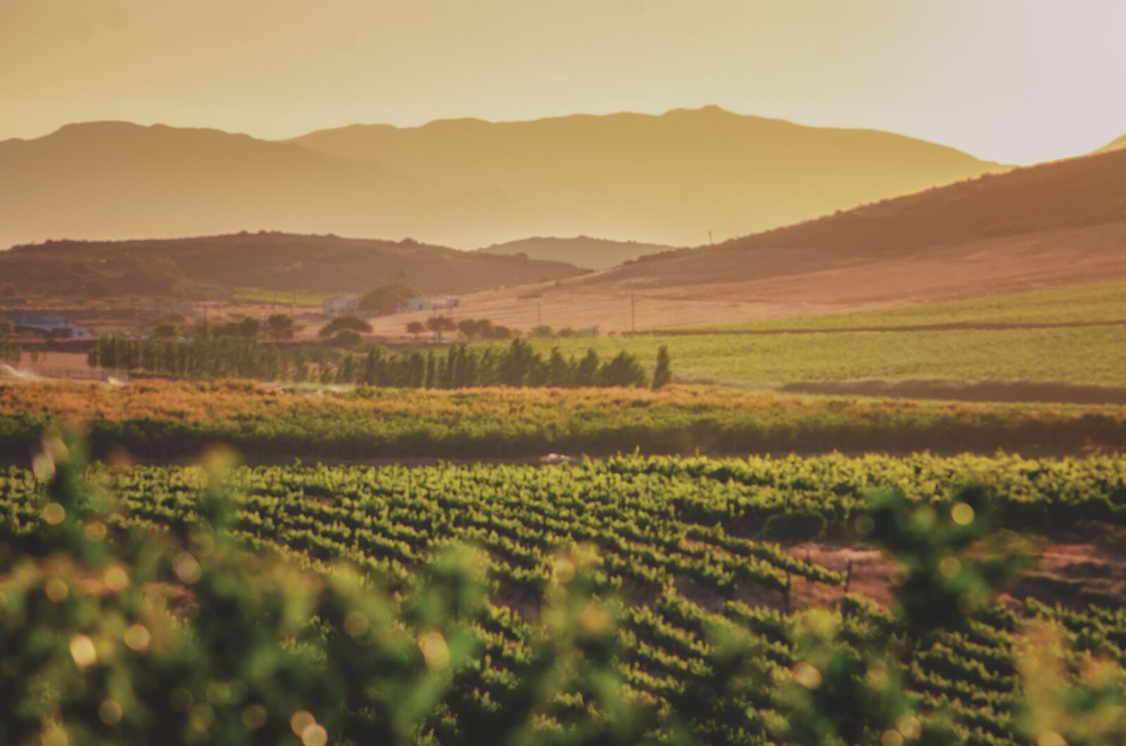 Nikon D7000 sample photo. Field, haze, landscape photography