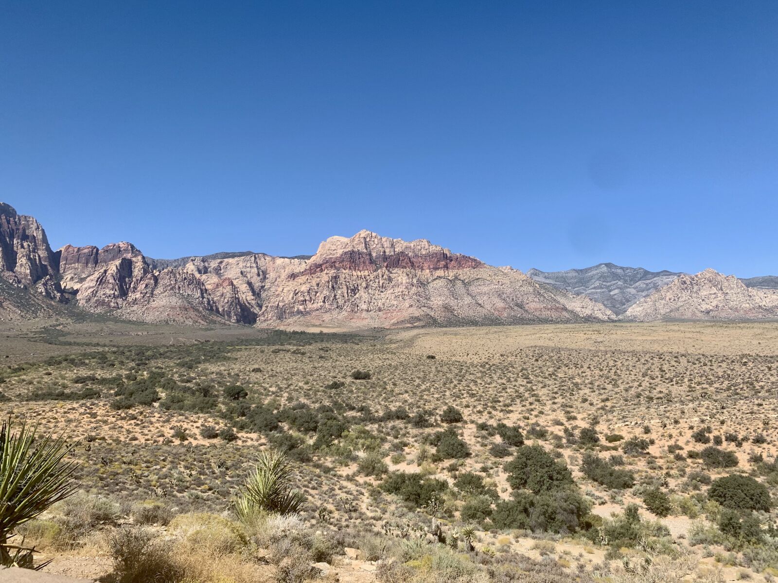 iPhone XR back camera 4.25mm f/1.8 sample photo. Desert, landscape, scenic photography