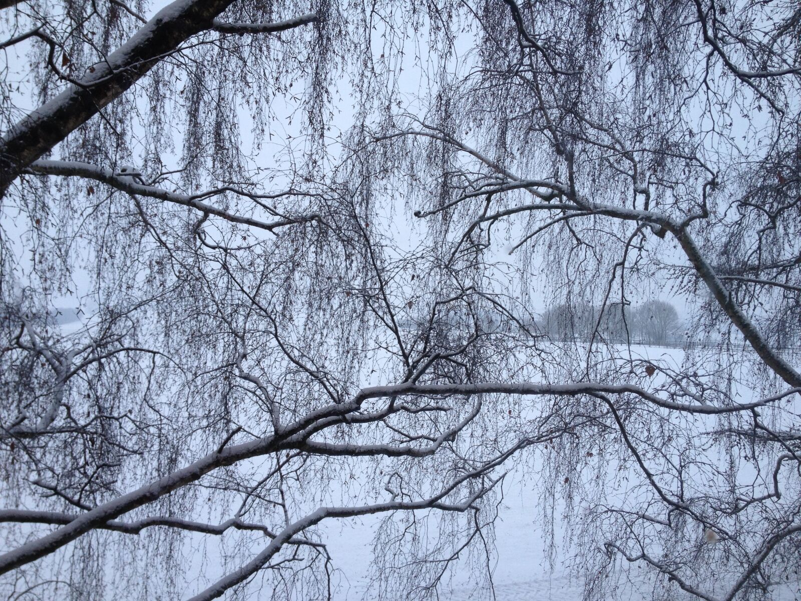 Apple iPhone 4S sample photo. Winter, snow, nature photography
