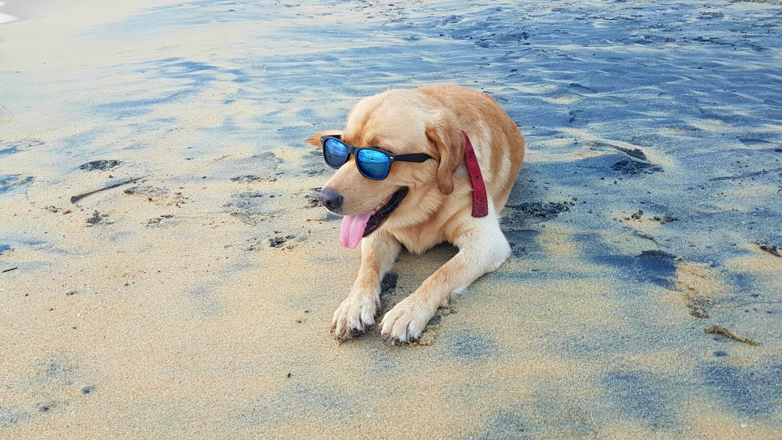 Samsung Galaxy S7 Edge sample photo. Water, beach, sea photography