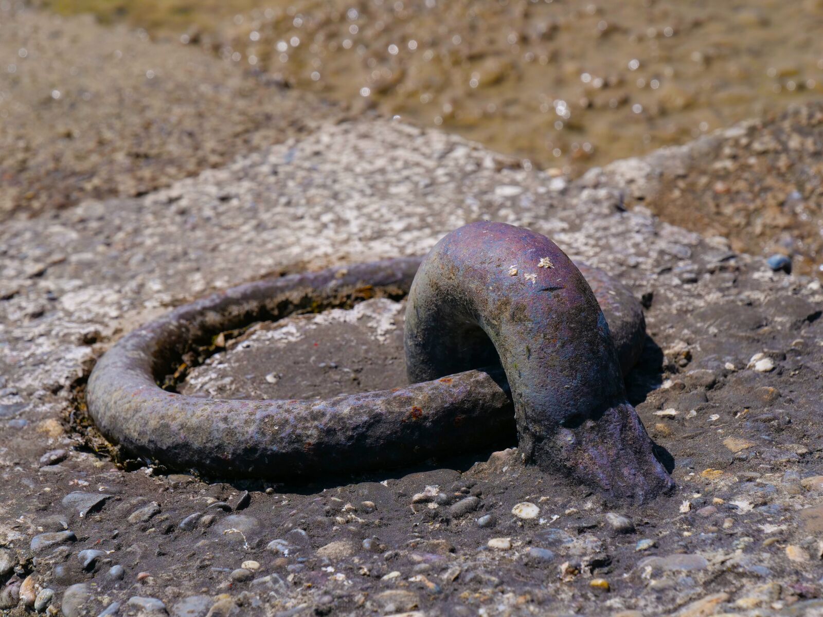 Panasonic Lumix DC-G9 sample photo. Loop, mooring, ring photography