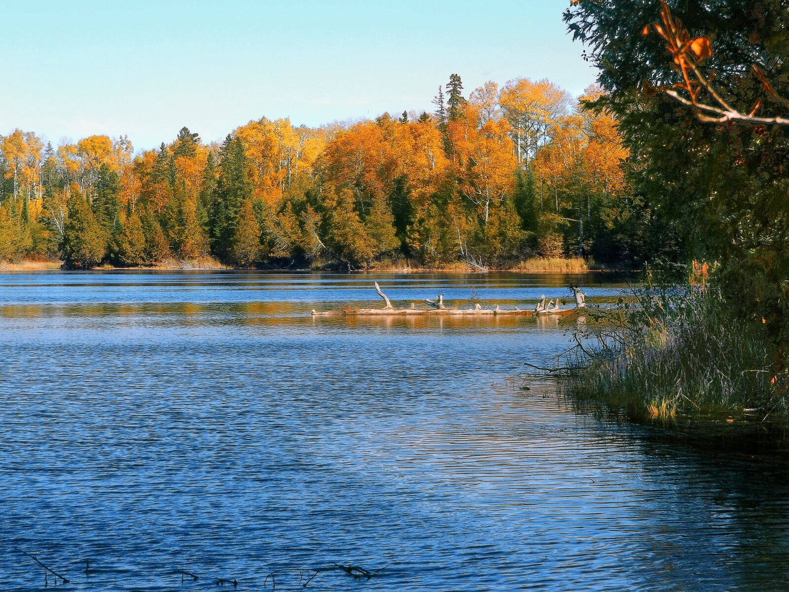 Fujifilm FinePix S8600 sample photo. Autumn, lake, nature photography