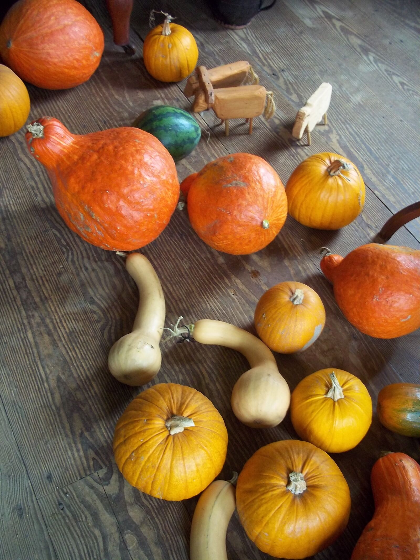 Kodak EASYSHARE M530 DIGITAL CAMERA sample photo. Rustic, gourd, squash photography