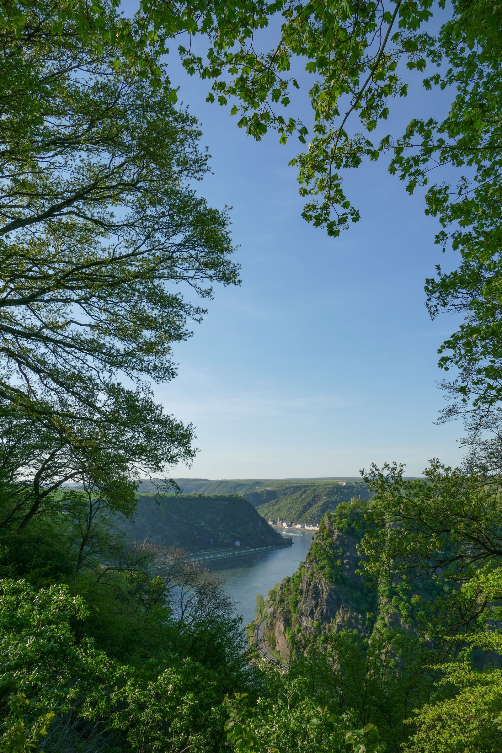 Panasonic Lumix DMC-FZ1000 sample photo. Loreley views, maria ruh photography