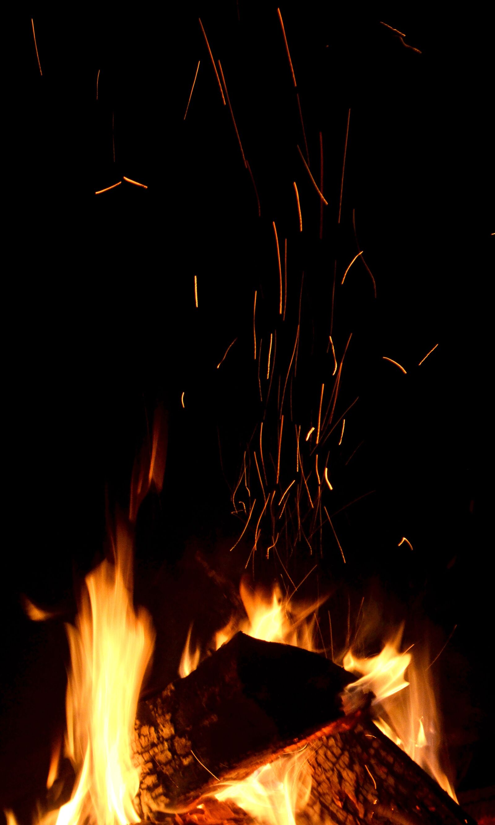 Nikon D3100 sample photo. Fire, campfire, camping photography
