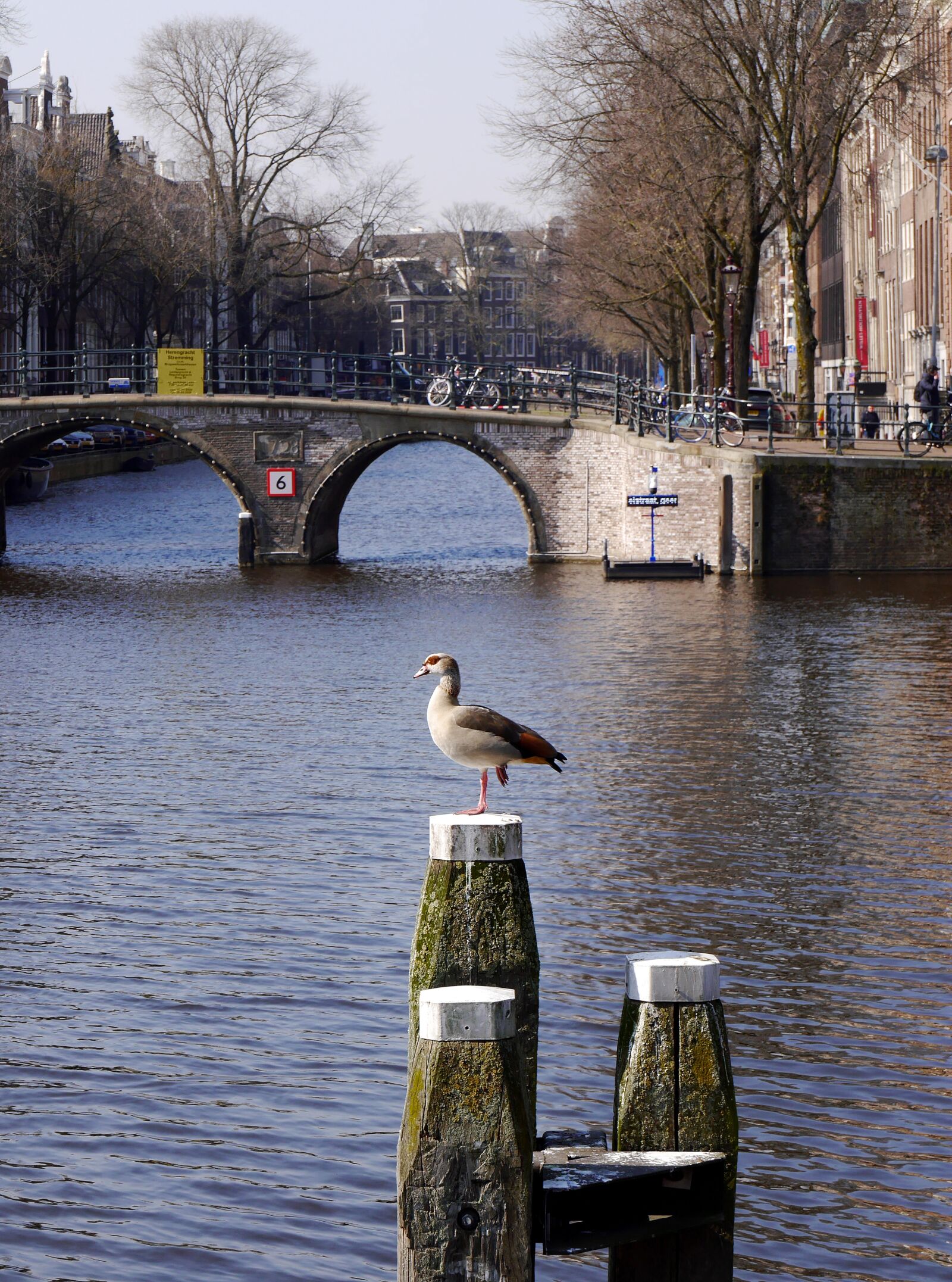 Panasonic Lumix DMC-GF6 sample photo. Amsterdam, netherlands, holland canal photography