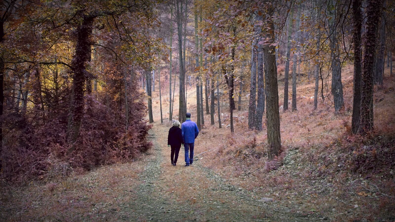 Sony a6000 sample photo. Couple, romantic, people photography
