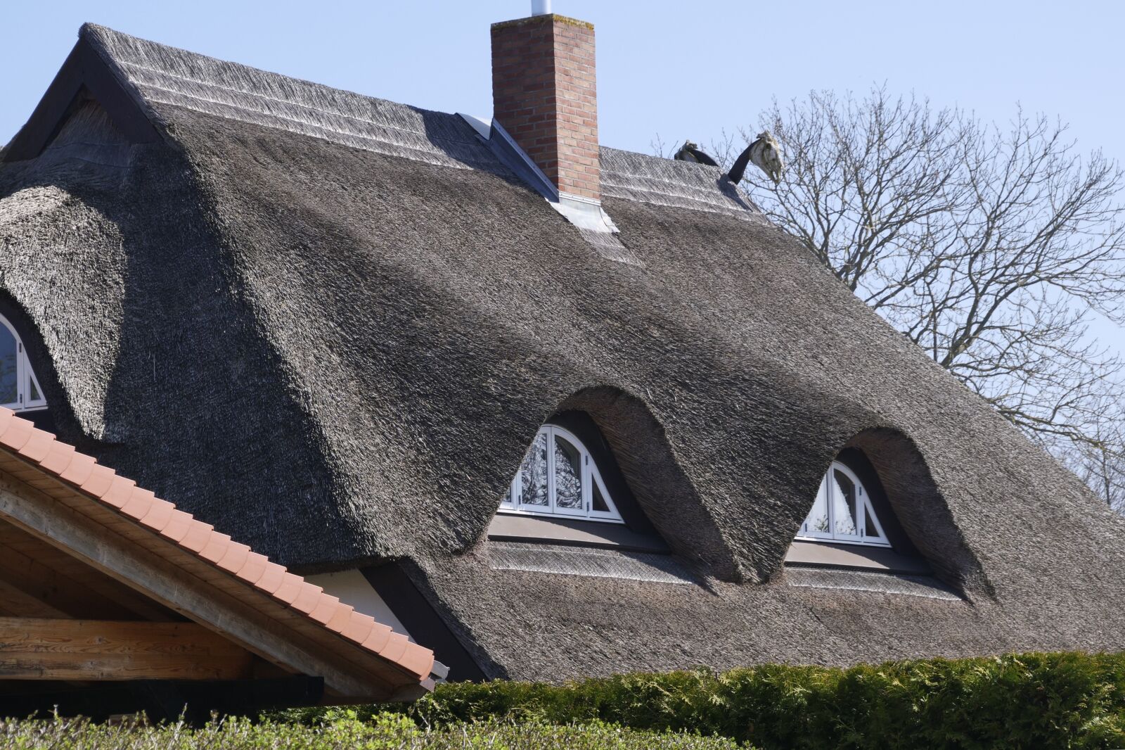 Panasonic Lumix DC-G9 sample photo. Roof, thatched roof, thatched photography
