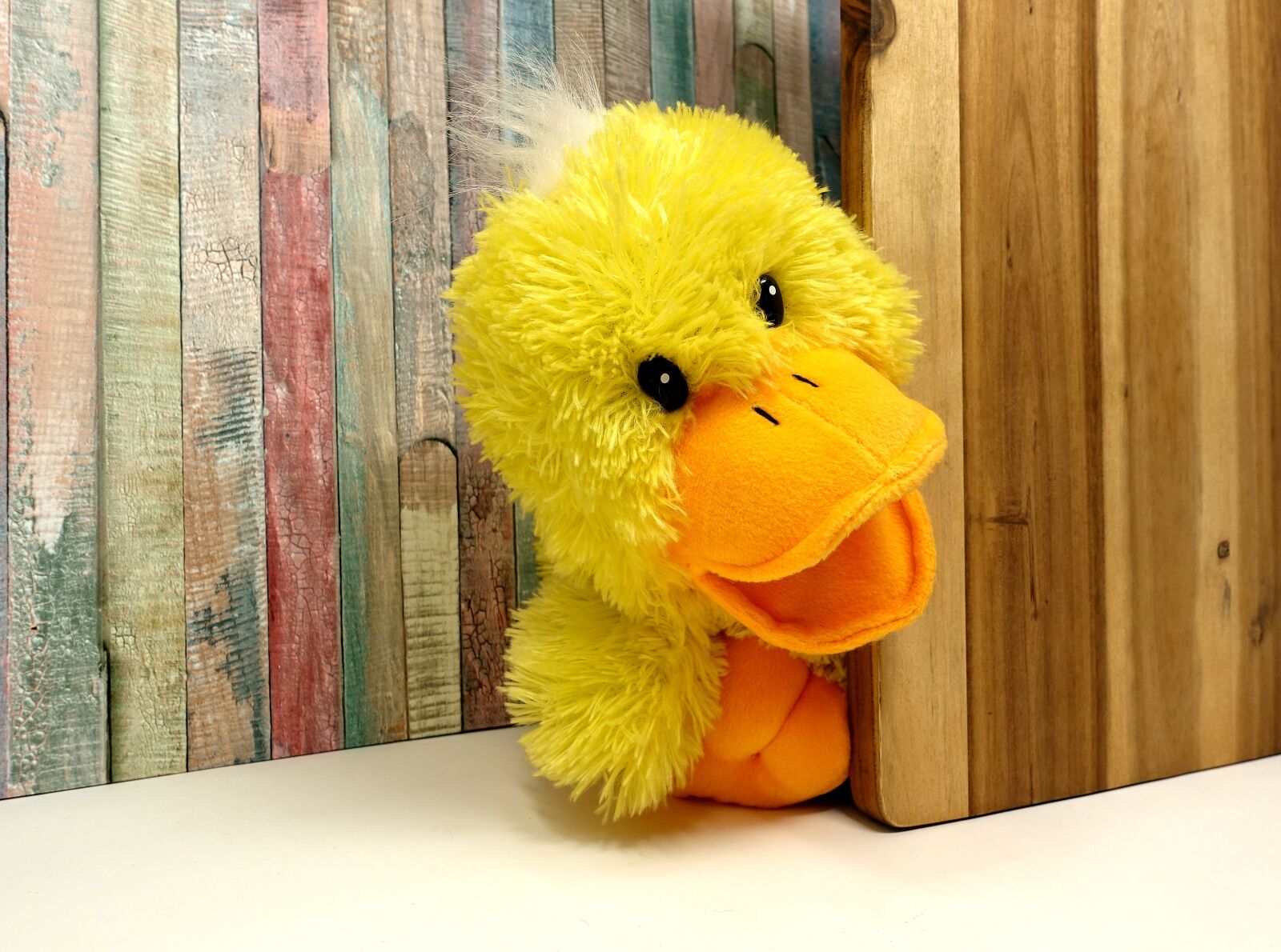 Sony DSC-RX100M5 sample photo. Duck, stuffed animal, funny photography