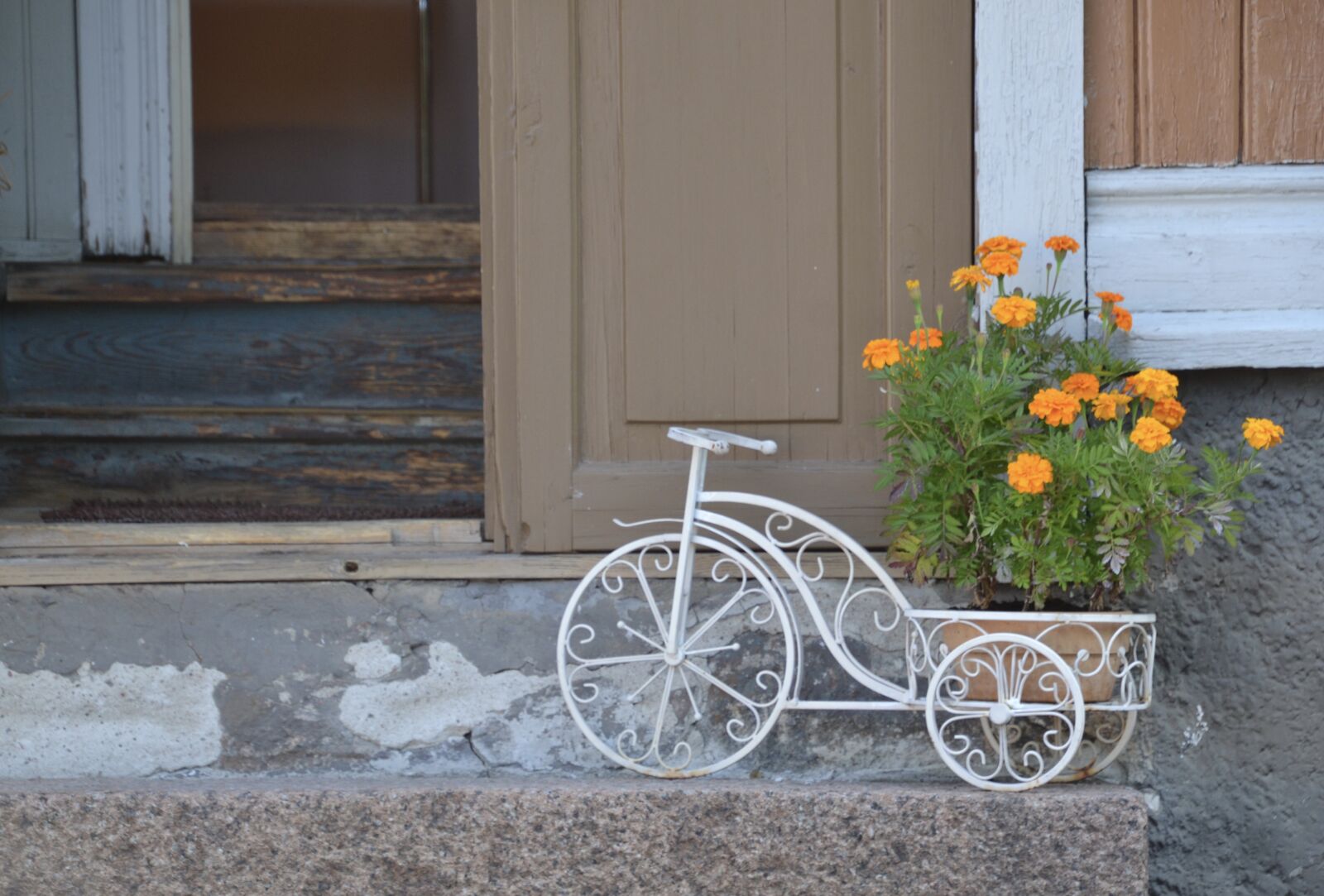 Nikon D3100 sample photo. Flowers, may flowers, flora photography
