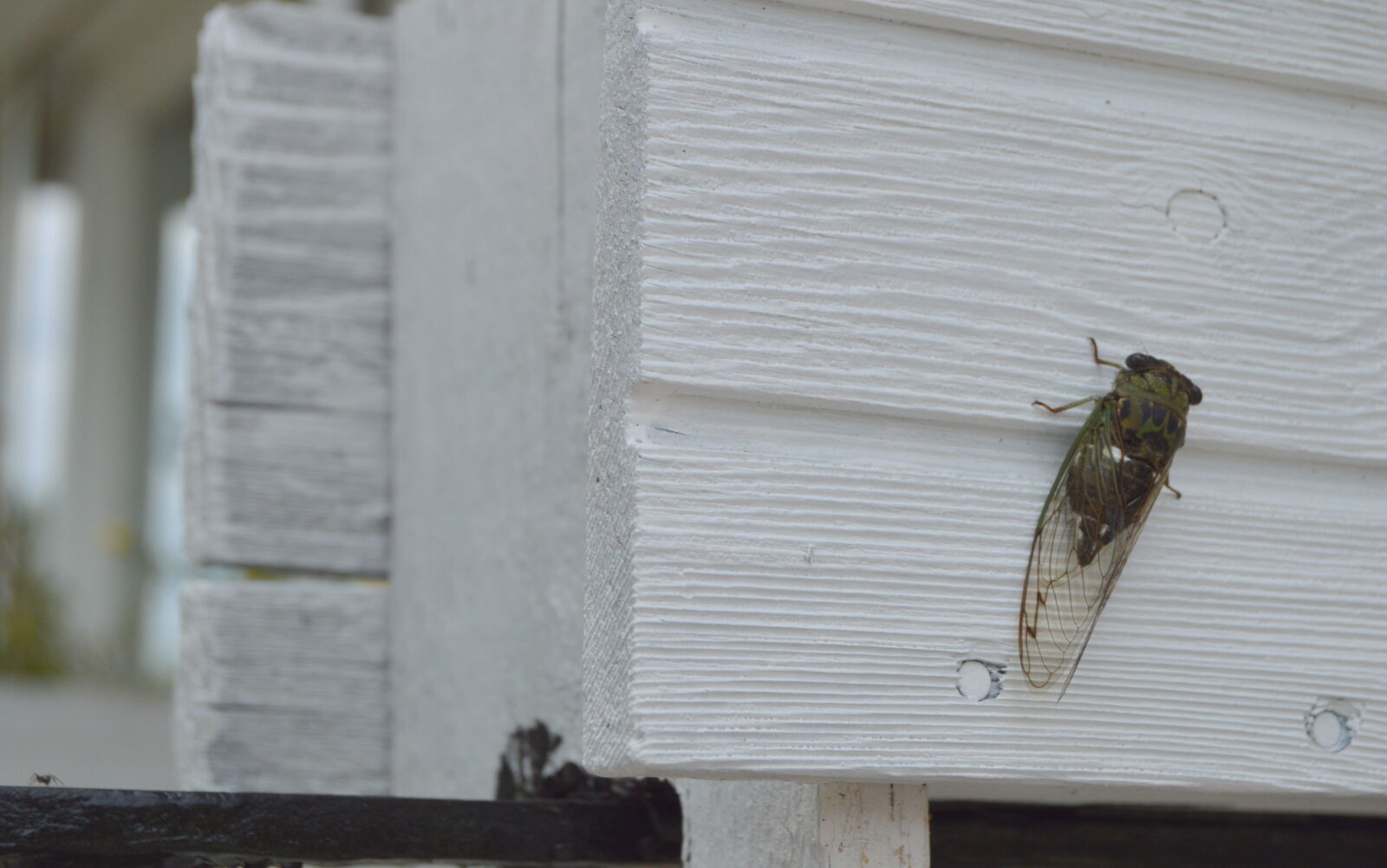 Nikon D3200 sample photo