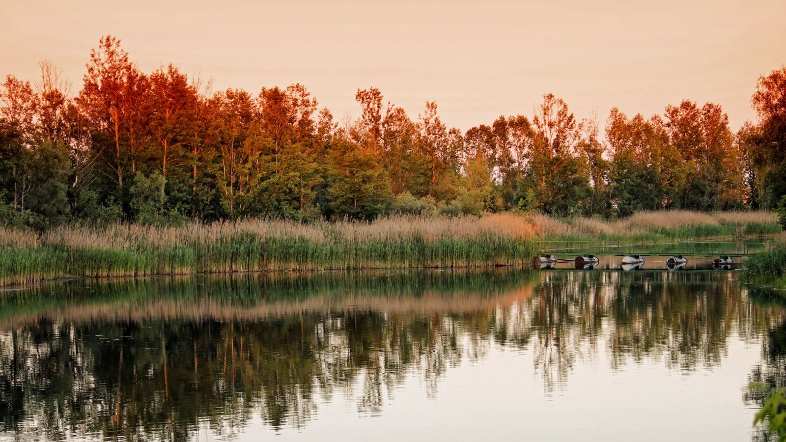 Canon EF-S 55-250mm F4-5.6 IS II sample photo. Landscape, trees, lake photography