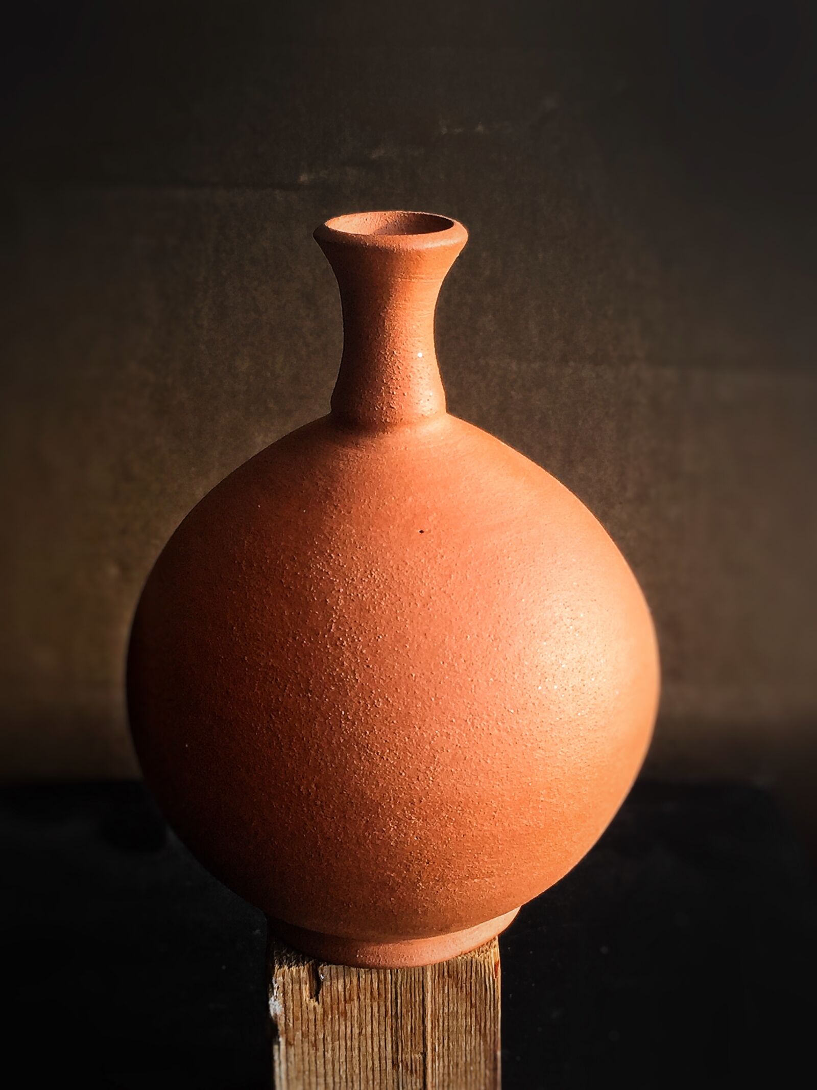 iPhone 6 Plus back camera 4.15mm f/2.2 sample photo. Vase, decorative, test photography
